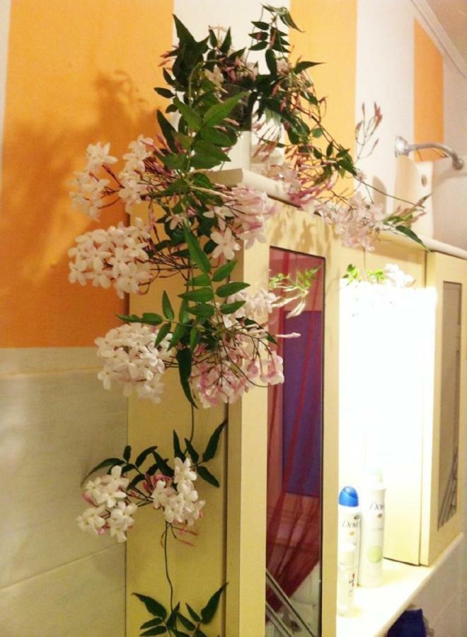 شقة Casa "Oasi" Centro Storico توسكانيا المظهر الخارجي الصورة